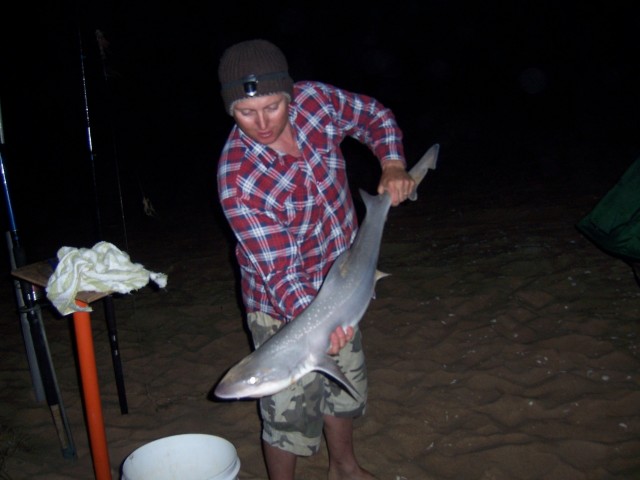 Coorong Gummy